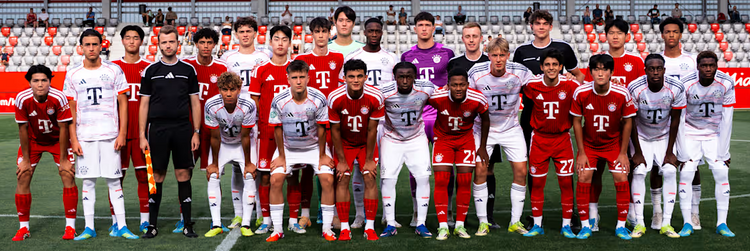 Camisetas Bayern Munich