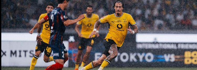 Camisetas Dortmund